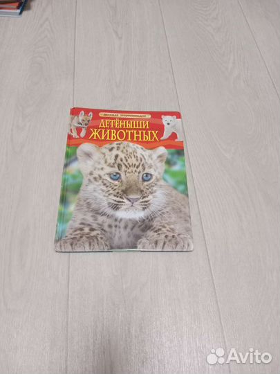 Детская Энциклопедия