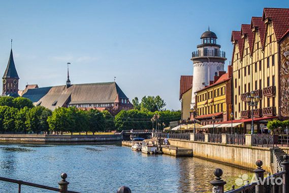 Экскурсии Калининград Гид Экскурсовод