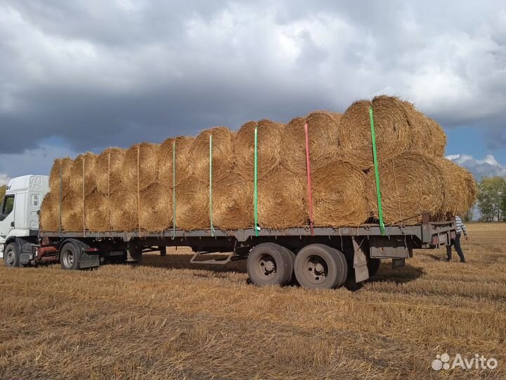 Солома овсяная, ячменая в рулонах 2023