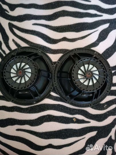 Pride ruby light 6.5