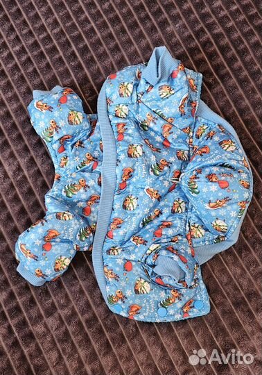 Одежда для маленьких собак