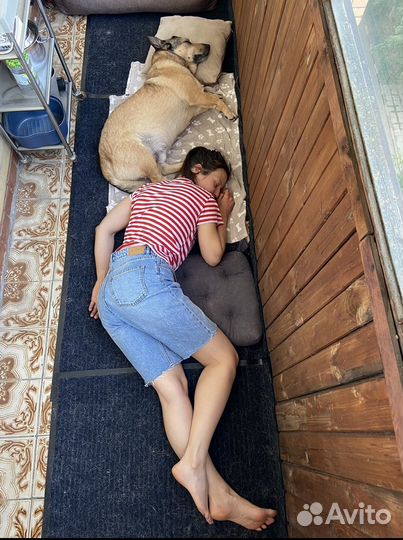 Шорты Monki удлиненные женские