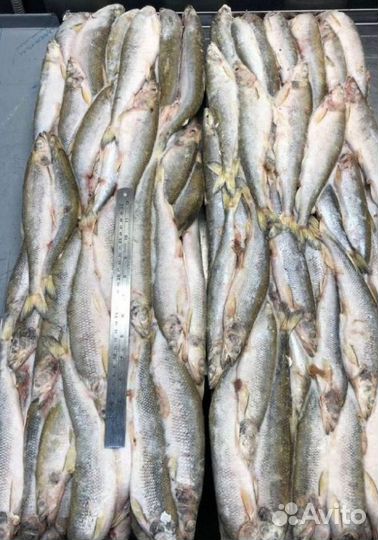 Икра, краб, креветка, рыба, морепродукты оптом