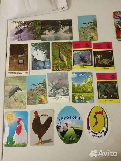 Календарь карманный. Птицы