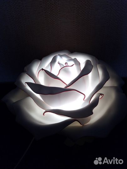 Цветы ростовые