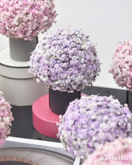 Подарок из Гипсофилы. Композиции с Гипсофилой