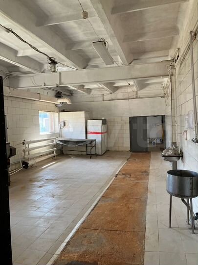 Свободного назначения,828 м²(пищевое производство)
