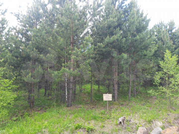 Участок 12 сот. (ИЖС)