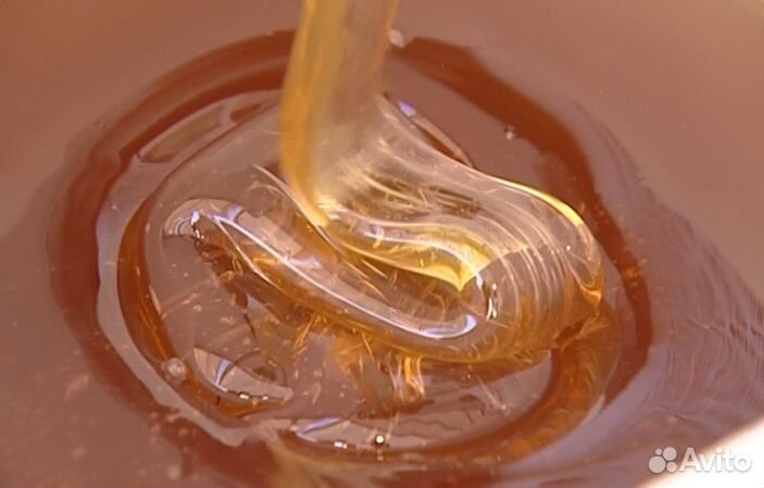 Мёд натуральный из Алтая опт от 16кг
