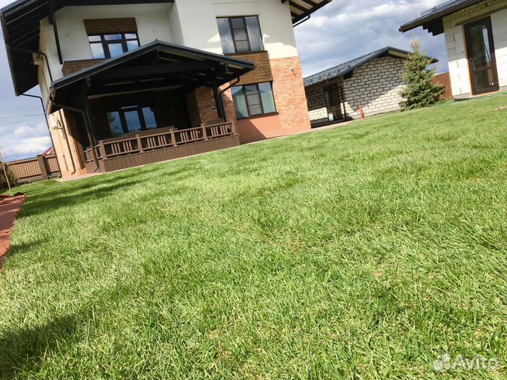 Рулонный газон