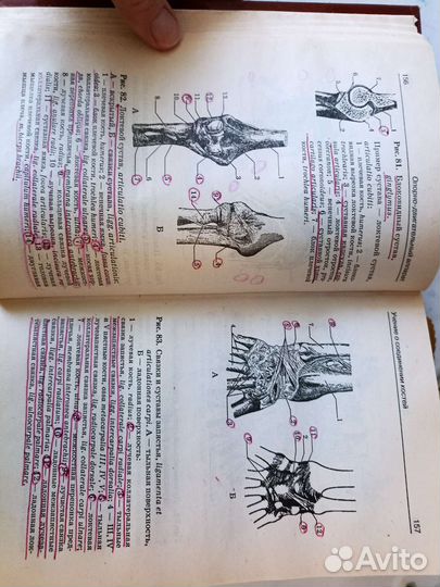 Атлас анатомии человека