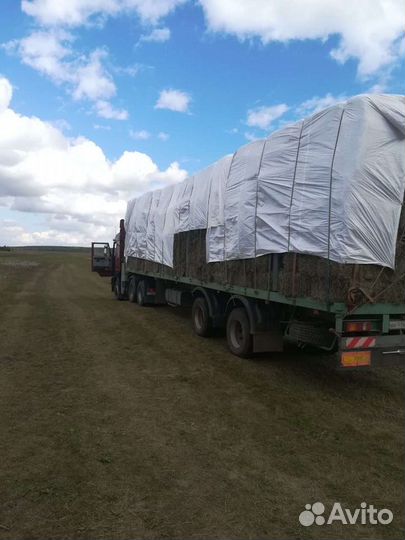 Продам сено