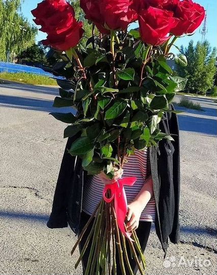 Высокие розы Букеты с доставкой