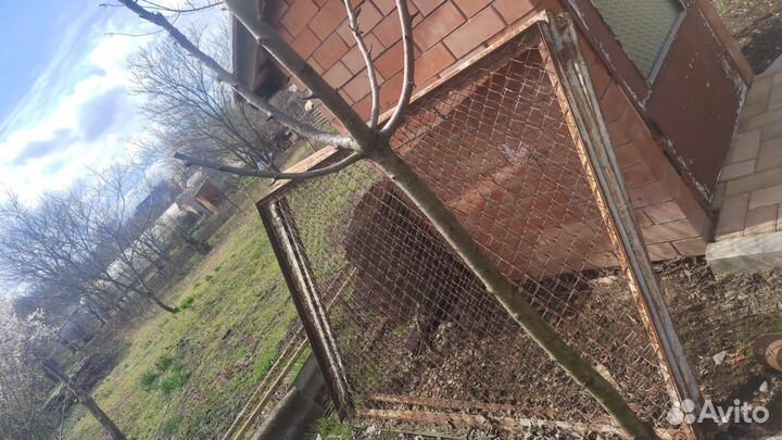 Сетка рабица