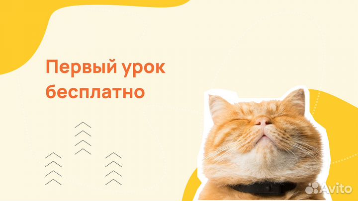 Индивидуальные уроки с главбухом в 1С: Бухгалтерия