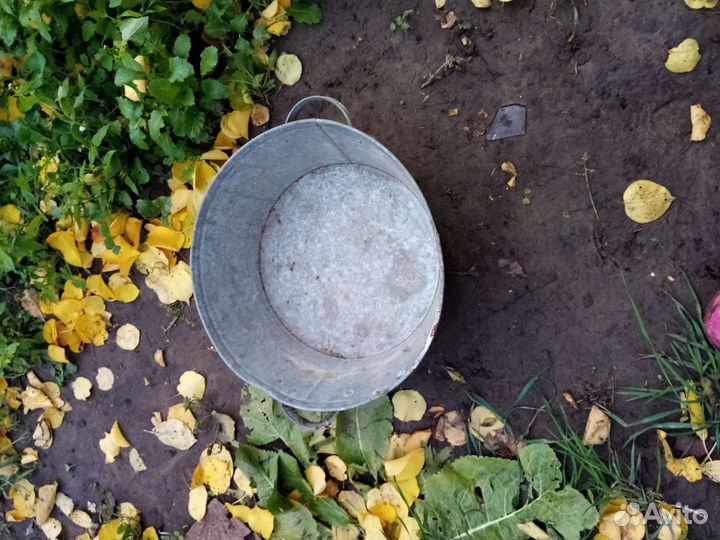 Таз из оцинкового железа