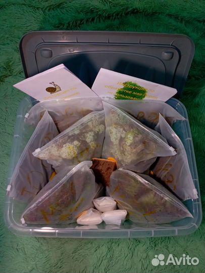 Улиткарий(готовый домик) для улиток