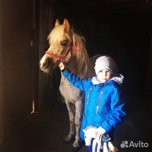 Обучение с нуля