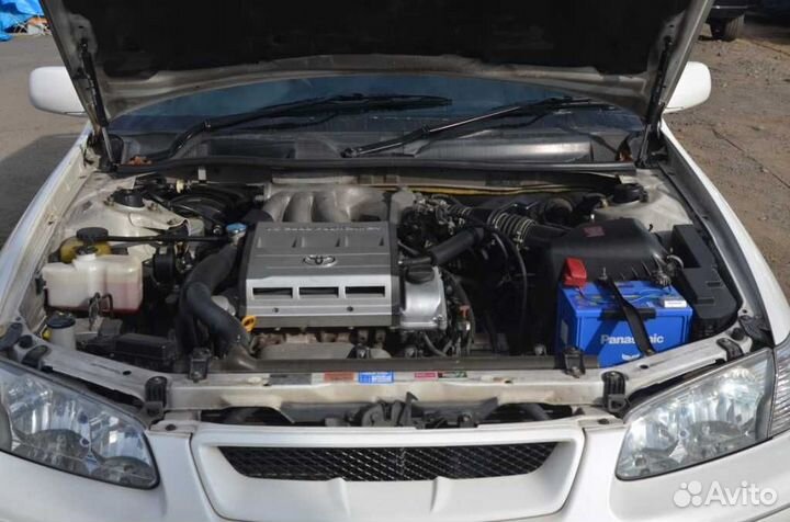 Разбор toyota camry gracia 0