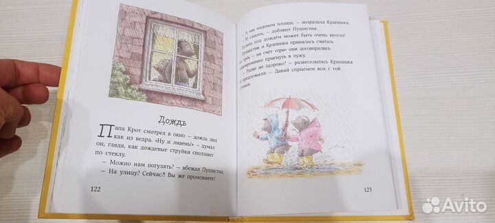 Бёрни Бос. Озорная семейка. Художник Де Беер Ханс