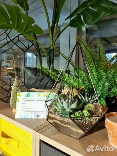 Флорариум с суккулентами Резная капля