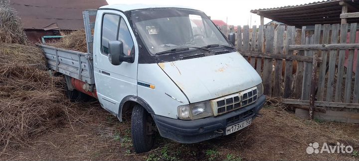 Морда газель