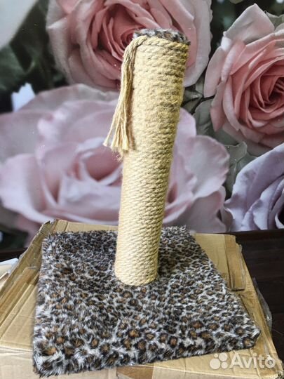 Когтеточка