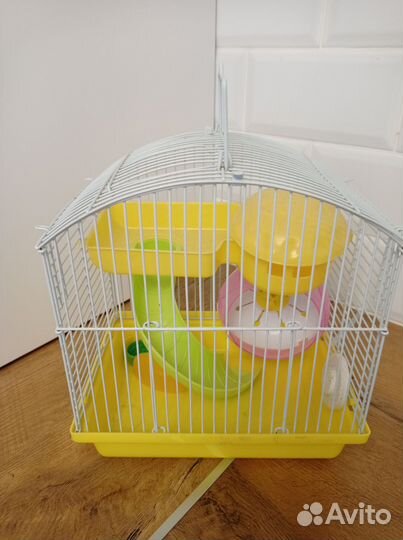 Клетка для джунгарика