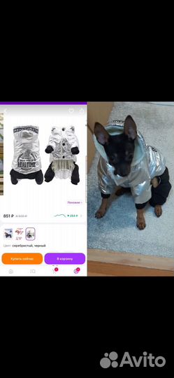 Прода комбинезон для мелкой собаки