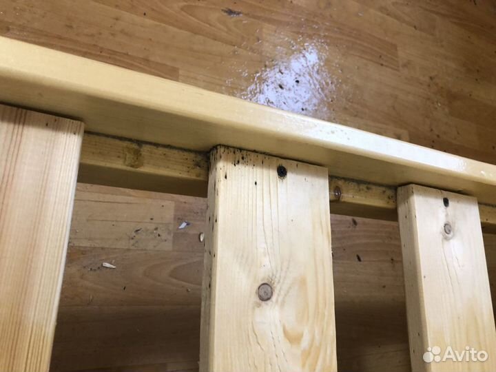 Уничтожение клопов, тараканов, блох, кожеедов, мух