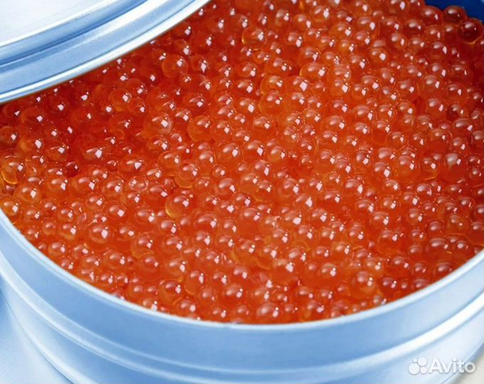 Красная Икра оптом
