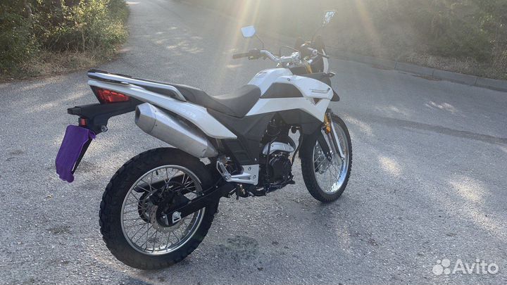 Racer Ranger RC300-GY8