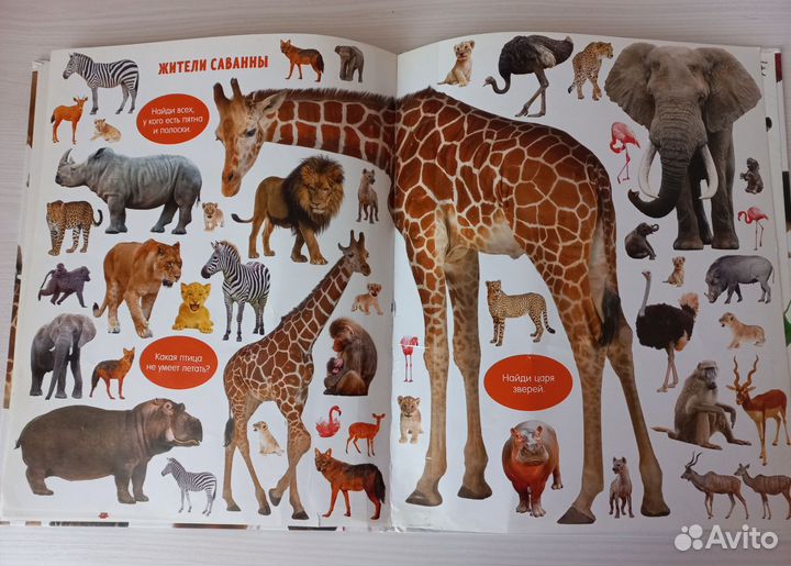Большая книга малыша -животные от clever