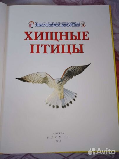 Книга