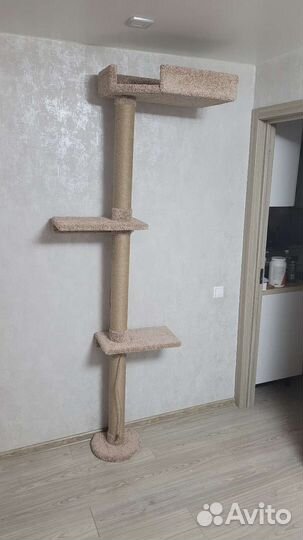 Комплекс для кошек