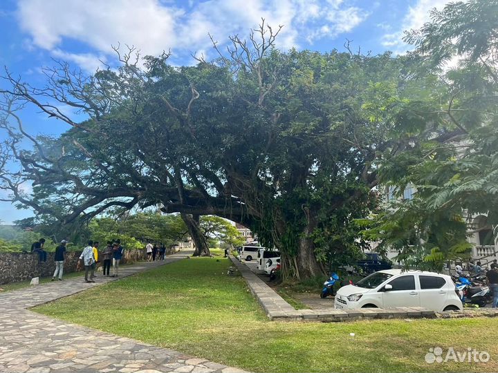 Отзыв о Шри-Ланке