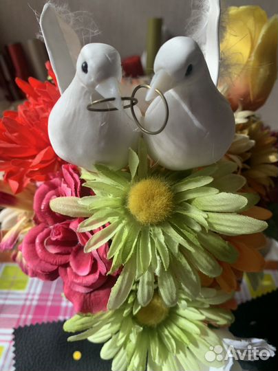 Свадебные голуби