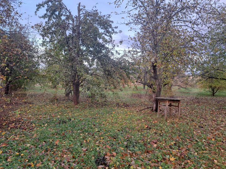 Дом 38 м² на участке 35 сот.