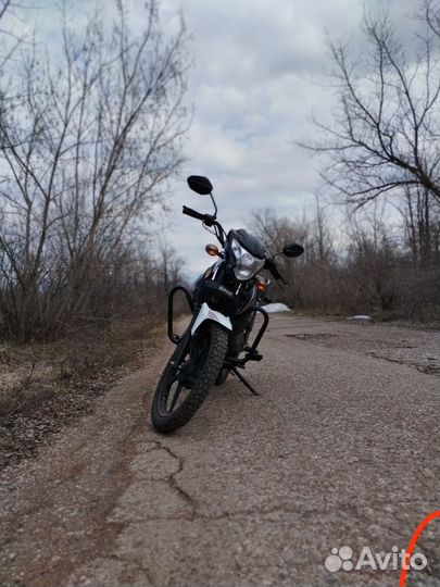 Сириус спорт 125