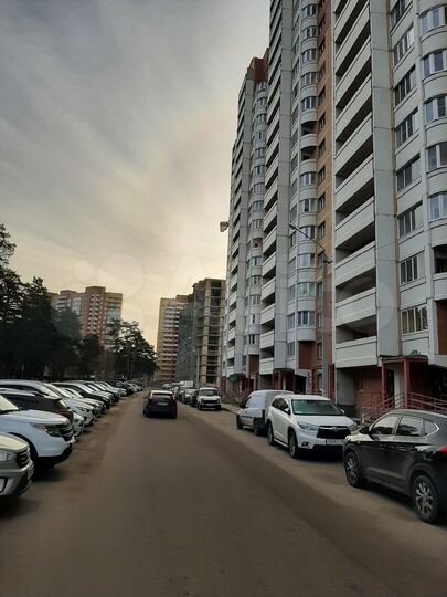 1-к. квартира, 50,6 м², 10/17 эт.