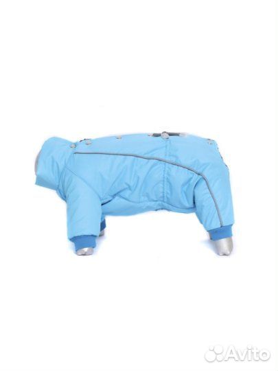 Новый зимний комбинезон на собачку