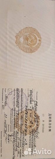 Репетитор огэ и егэ по Русскому языку и Литературе