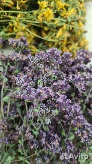 Душица (матрешка) и зверобой