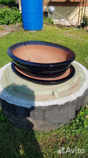 Горшок для бонсай