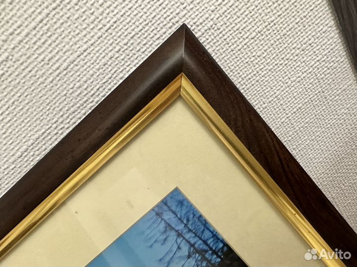 Постер в раме Лошади 40/50