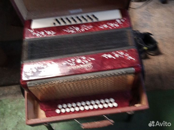 Гармонь весна2