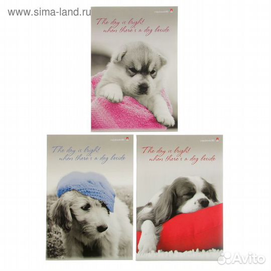 Тетрадь А4, 80 листов в клетку 