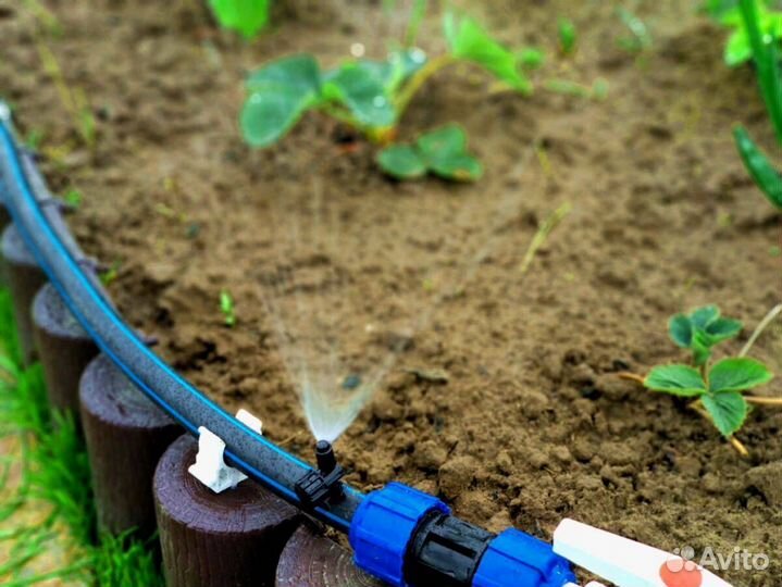 Укладка газона. Автополив. Газон, Озеленение