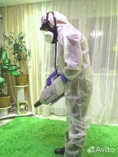 Уничтожение клопов, тараканов, блох, плесени