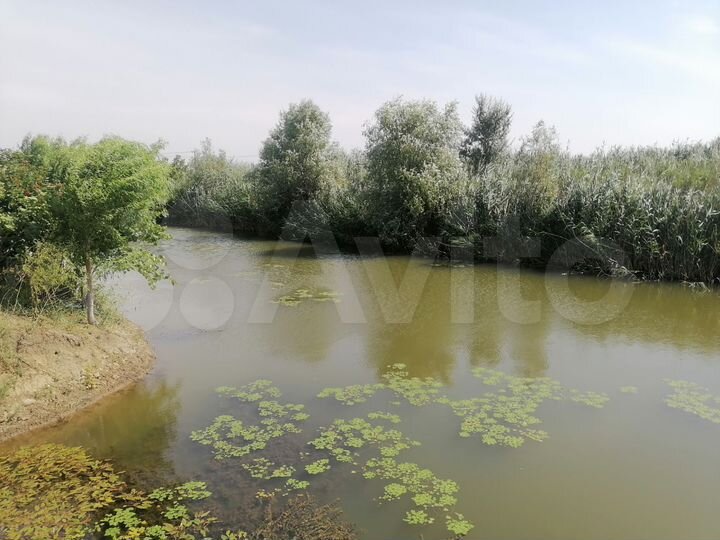 Участок 15 сот. (ИЖС)